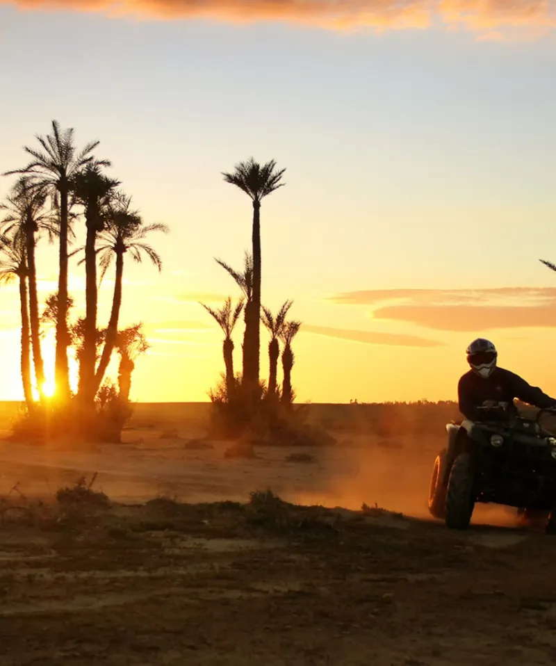 Que Faire à Marrakech : Le Guide Ultime 2025 pour un Séjour Inoubliable dans la Ville Rouge