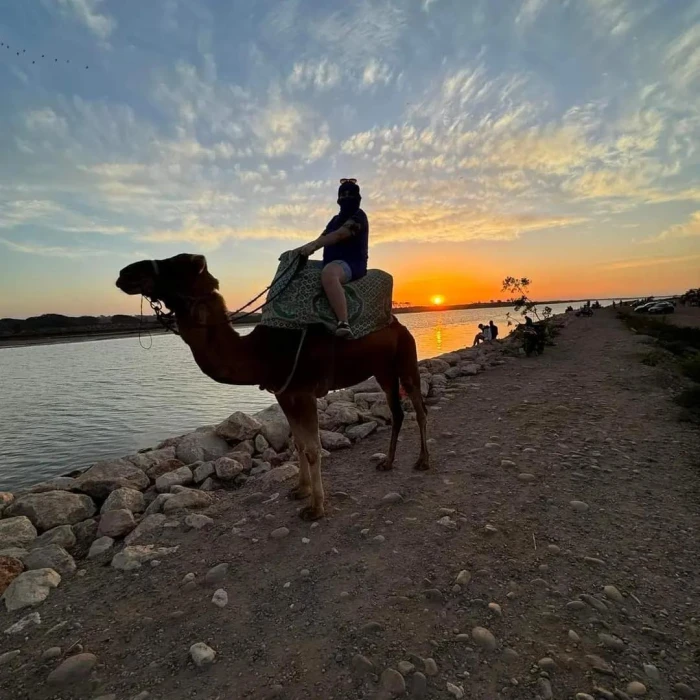 Horseback Riding with Sunset in Agadir - activities for rent on RENTS.ma