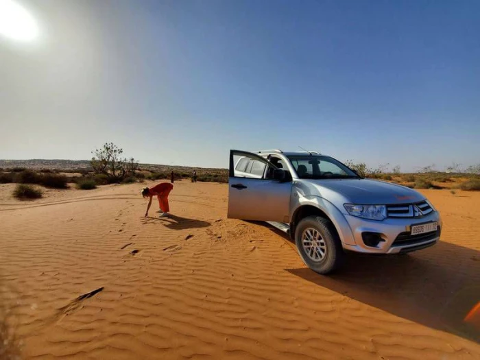 Agadir Mini Sahara Day Trip - activities for rent on RENTS.ma