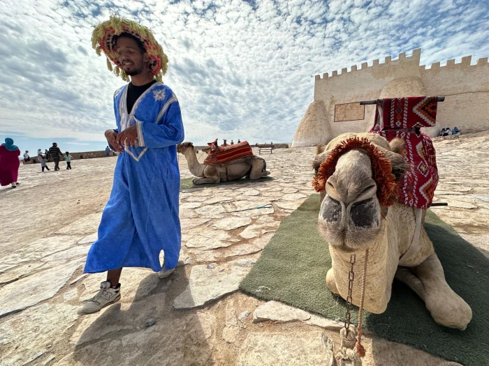 Agadir City Tour - activities for rent on RENTS.ma
