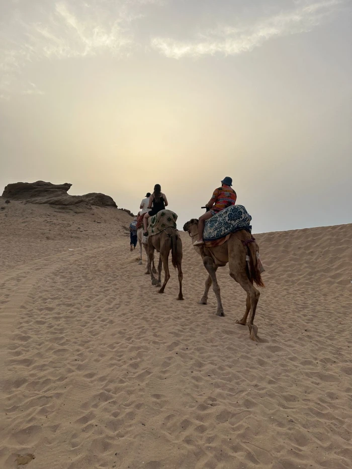 Paradise Valley & Sahara Dunes Guided Day Trip - activities for rent on RENTS.ma