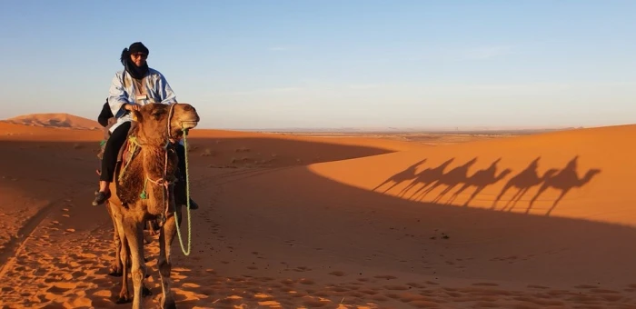 Sunset in Merzouga Sahara Desert & Camel Ride Erg Chebbi Dunes - activities for rent on RENTS.ma