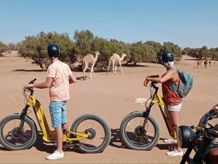 Excursion jusqu'au village de Takate en Fat-bike ou Fat-trott' - activities for rent on RENTS.ma