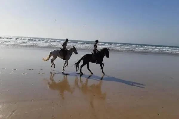 Horse ride tour in Agadir - activities for rent on RENTS.ma