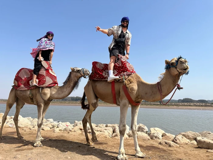 Agadir Camel Ride and Flamingo River Tour - activities for rent on RENTS.ma