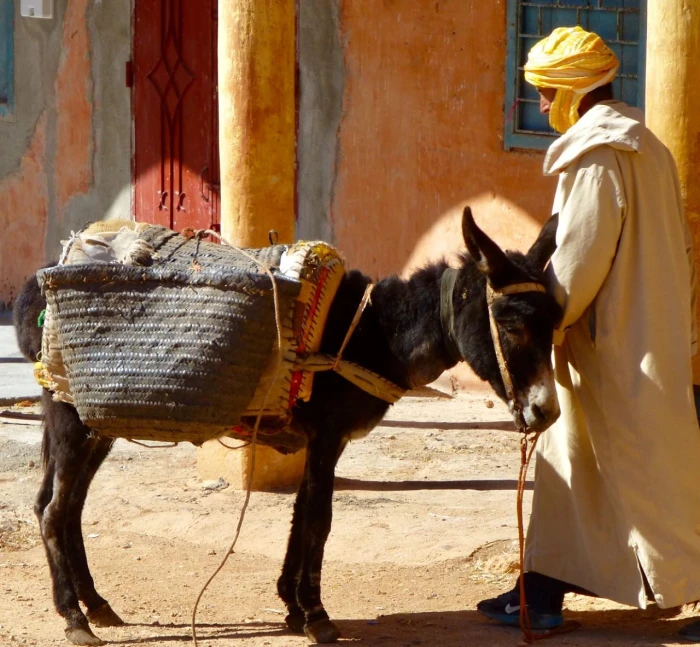 Agadir Desert 4x4 Day Trip with Lunch - activities for rent on RENTS.ma