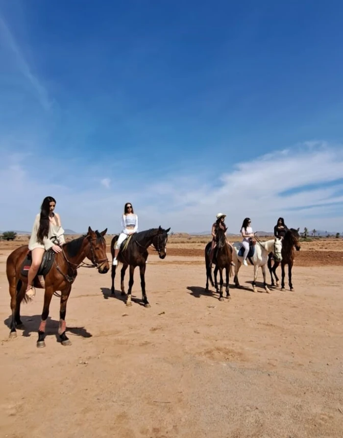 Balade Privée à cheval à la palmeraie de Marrakech avec prise en charge à l'hôtel - activities for rent on RENTS.ma