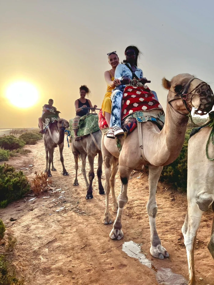 Camel & Horse in Agadir - activities for rent on RENTS.ma
