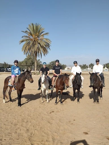 Agadir Camel & Horse Riding - activities for rent on RENTS.ma
