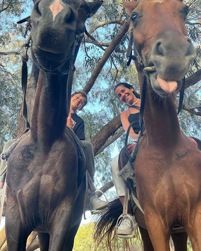 Agadir Camel & Horse Riding - activities for rent on RENTS.ma