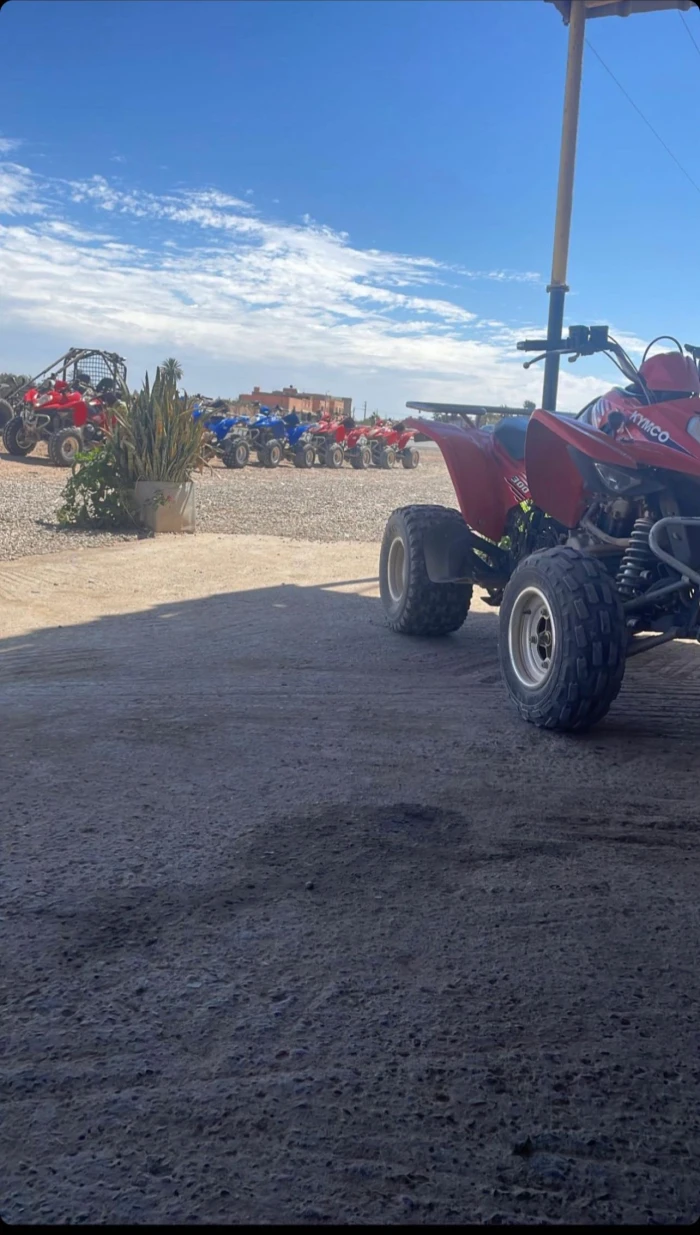 Safari Buggy in Agadir - activities for rent on RENTS.ma