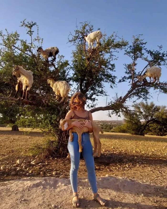 Agadir Desert 4x4 Day Trip with Lunch - activities for rent on RENTS.ma