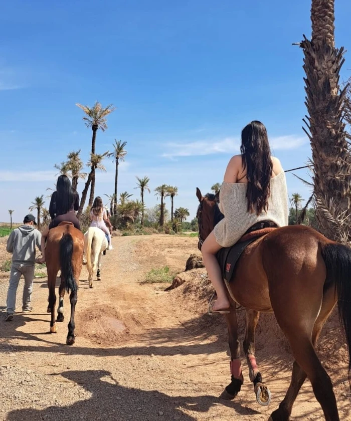 Balade Privée à cheval à la palmeraie de Marrakech avec prise en charge à l'hôtel - activities for rent on RENTS.ma