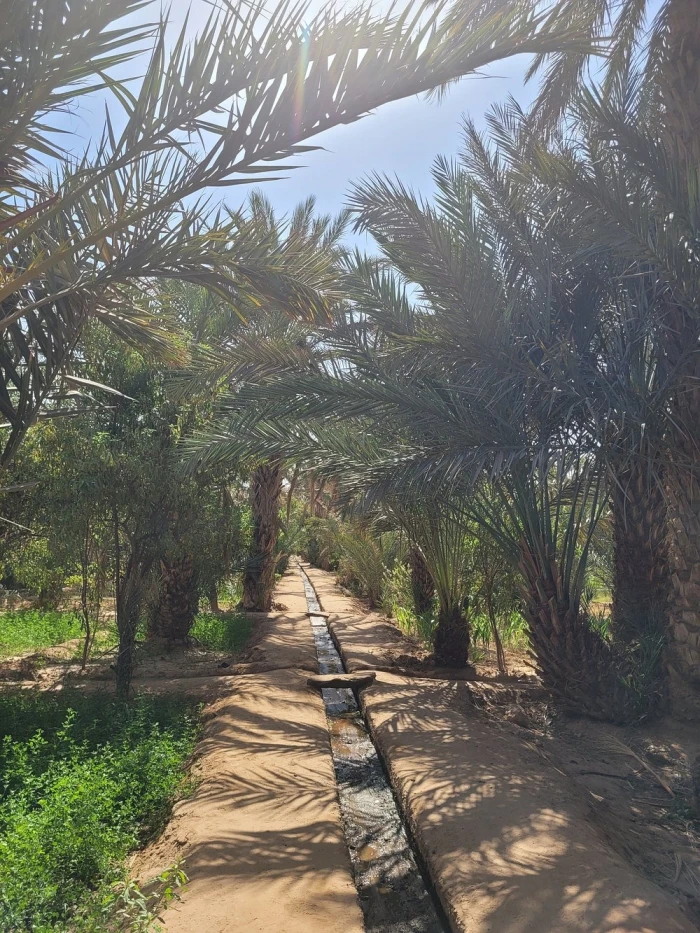 Berber Experience: Private Sahara Desert Half-Day Trip - activities for rent on RENTS.ma