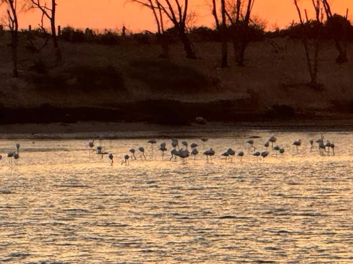Horseback Riding with Sunset in Agadir - activities for rent on RENTS.ma