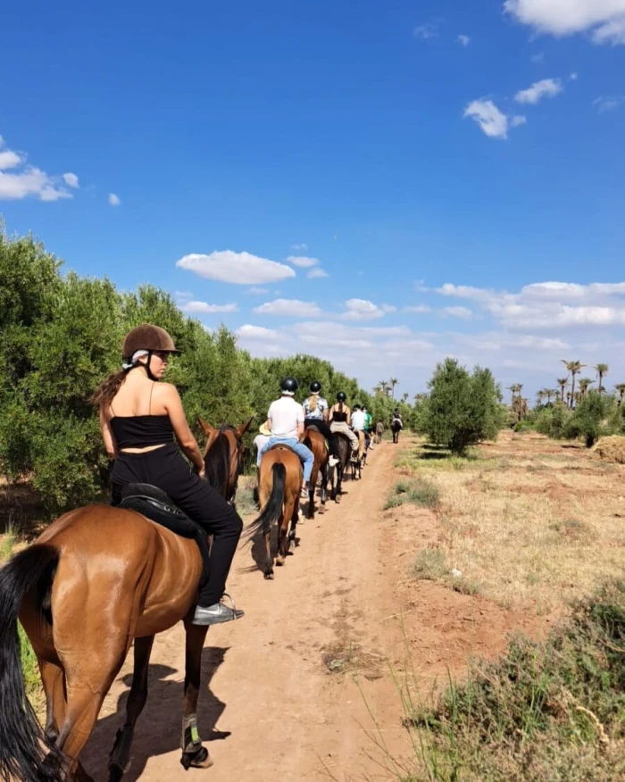 Balade Privée à cheval à la palmeraie de Marrakech avec prise en charge à l'hôtel - activities for rent on RENTS.ma
