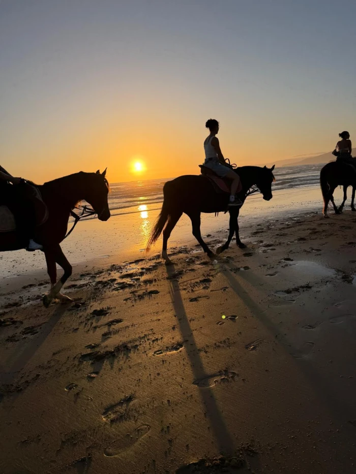 Horse Riding on Tamraght Beach | Guided Sunset & Coastal Rides - activities for rent in tamraght - RENTS.ma