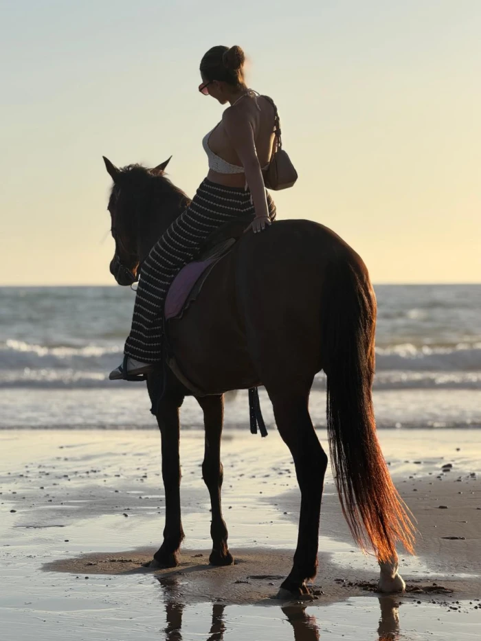 Horse Riding in Agadir & Taghazout | Beach Trail with Free Pickup - activities for rent in tamraght - RENTS.ma