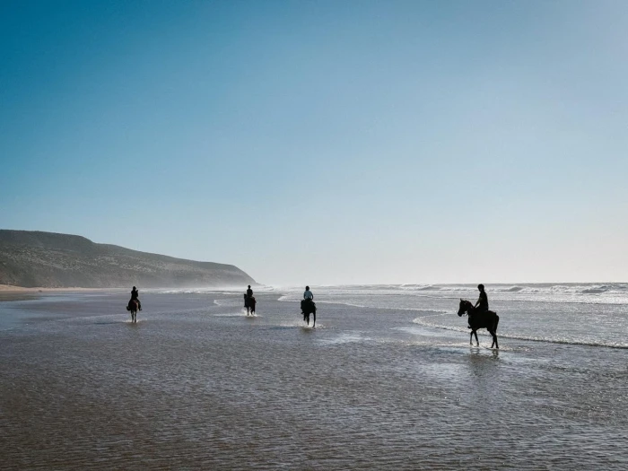 Horse riding in Essaouira - EquiEvasion - activities for rent in essaouira - RENTS.ma