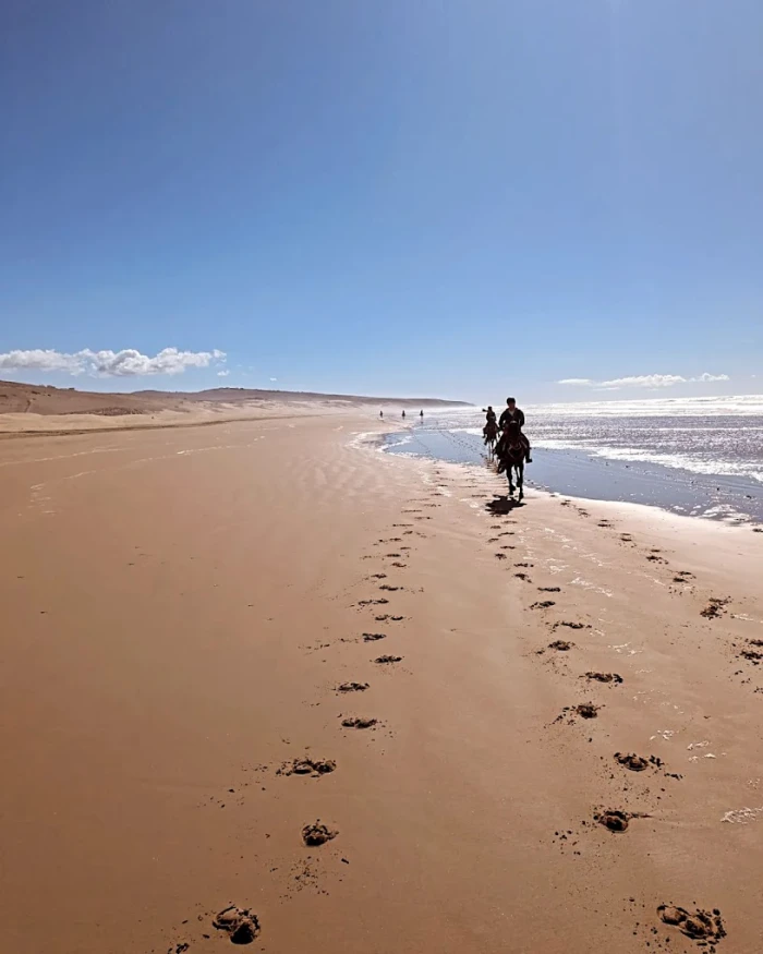 Horse riding in Essaouira - EquiEvasion - activities for rent in essaouira - RENTS.ma