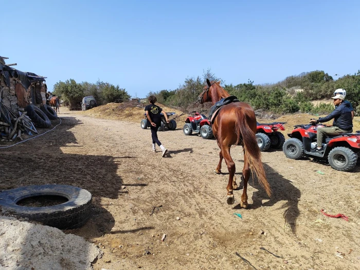 Cheval Essaouira - Horseback Riding - activities for rent in essaouira - RENTS.ma