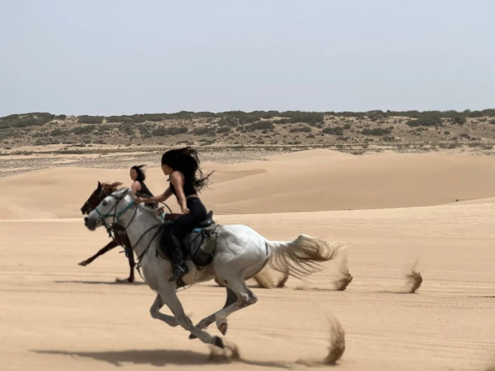 Cheval Essaouira - Horseback Riding - activities for rent in essaouira - RENTS.ma