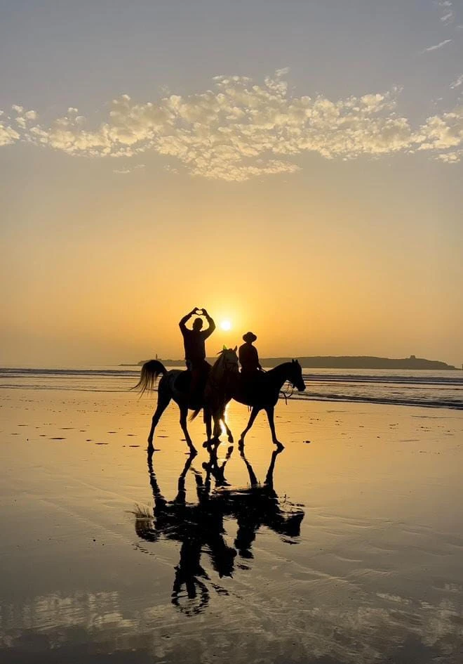 Cheval Essaouira - Horseback Riding - activities for rent in essaouira - RENTS.ma