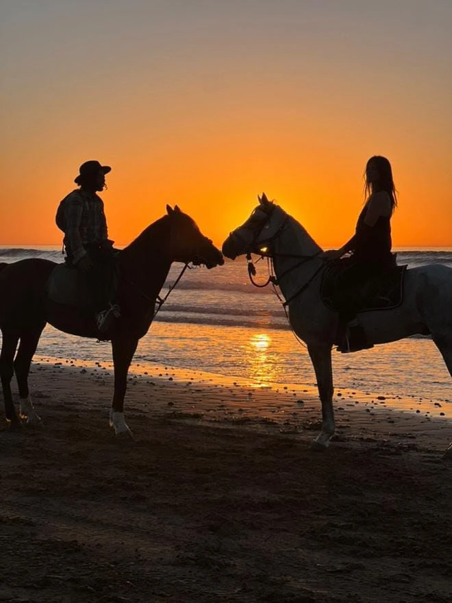 Cheval Essaouira - Horseback Riding - activities for rent in essaouira - RENTS.ma