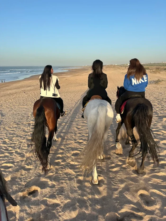 Sunset Horse Ride in Casablanca – Dar Bouazza 🌅 - activities for rent in casablanca - RENTS.ma