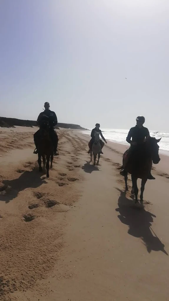 Horse Riding in Dakhla β Ride Between Desert & Ocean πποΈ - activities for rent in dakhla - RENTS.ma