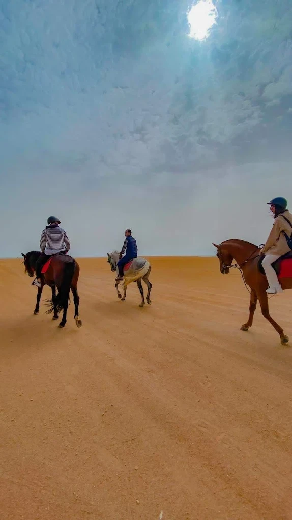 Horse Riding in Dakhla β Ride Between Desert & Ocean πποΈ - activities for rent in dakhla - RENTS.ma
