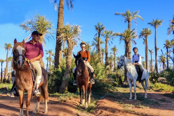 Marrakech: Palm Grove Horseback Riding Tour - activities for rent on RENTS.ma