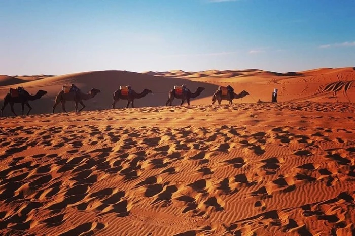 Sunset in Merzouga Sahara Desert & Camel Ride Erg Chebbi Dunes - activities for rent on RENTS.ma