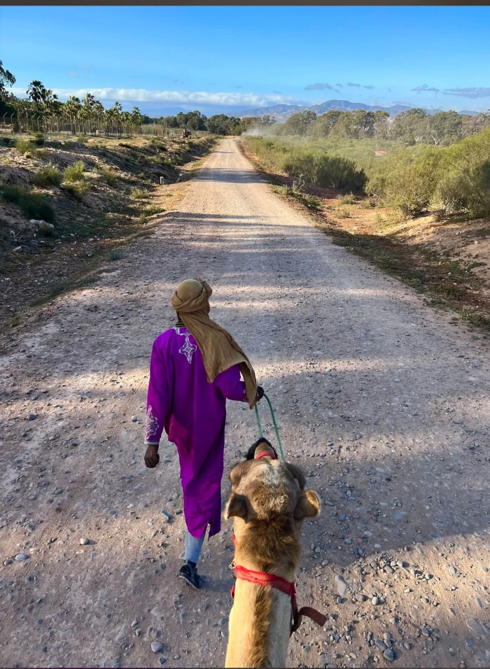 Camel & Horse in Agadir - activities for rent on RENTS.ma