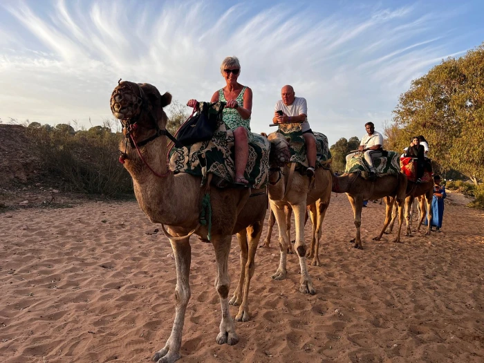 Agadir Camel Ride and Flamingo River Tour - activities for rent on RENTS.ma