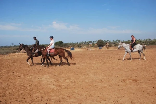 Horse ride tour in Agadir - activities for rent on RENTS.ma