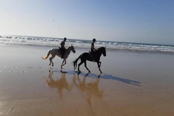 Horse ride tour in Agadir - activities for rent on RENTS.ma
