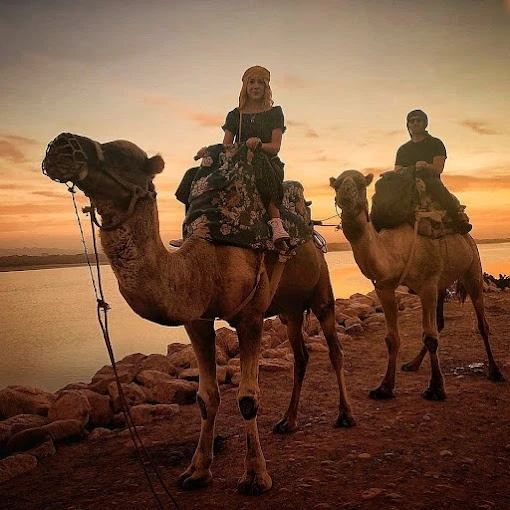 Agadir Camel & Horse Riding - activities for rent on RENTS.ma