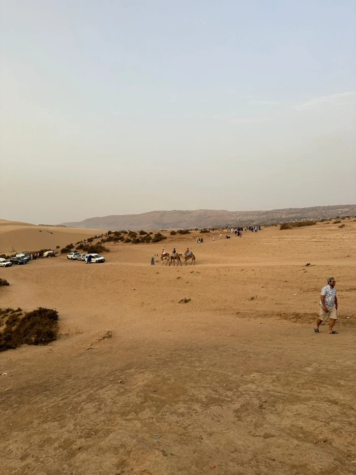 Paradise Valley & Sahara Dunes Guided Day Trip - activities for rent on RENTS.ma