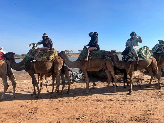 Camel & Horse in Agadir - activities for rent on RENTS.ma