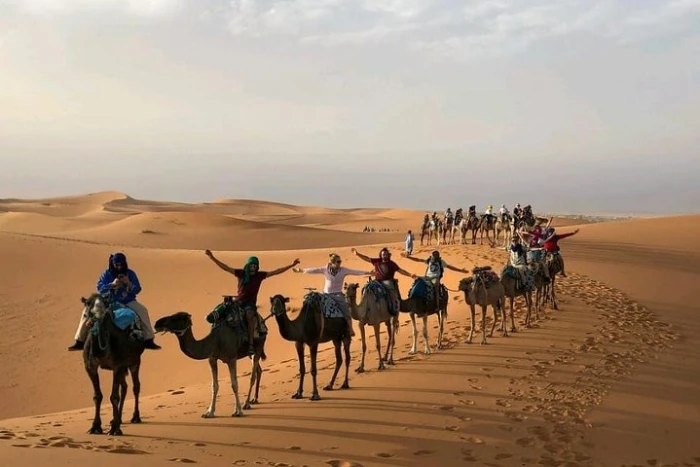 ✅ Camel Ride and Overnight in Sahara Desert Camp - activities for rent on RENTS.ma