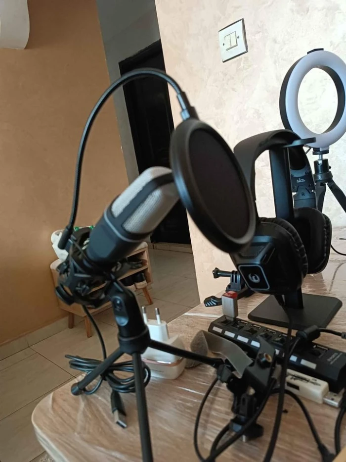 Microphone professionnel Gamer