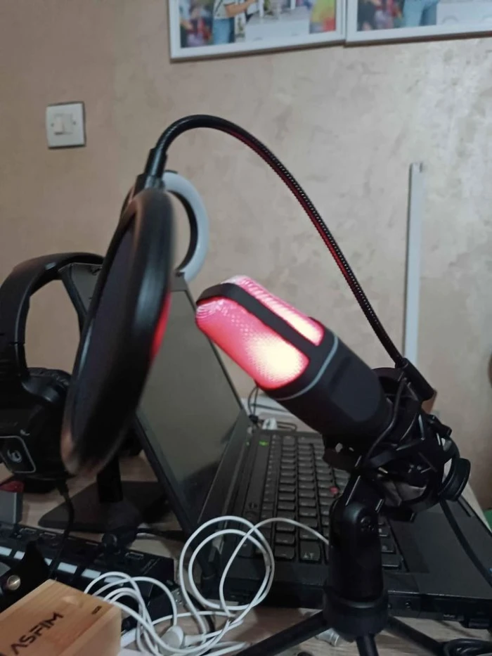 Microphone professionnel Gamer