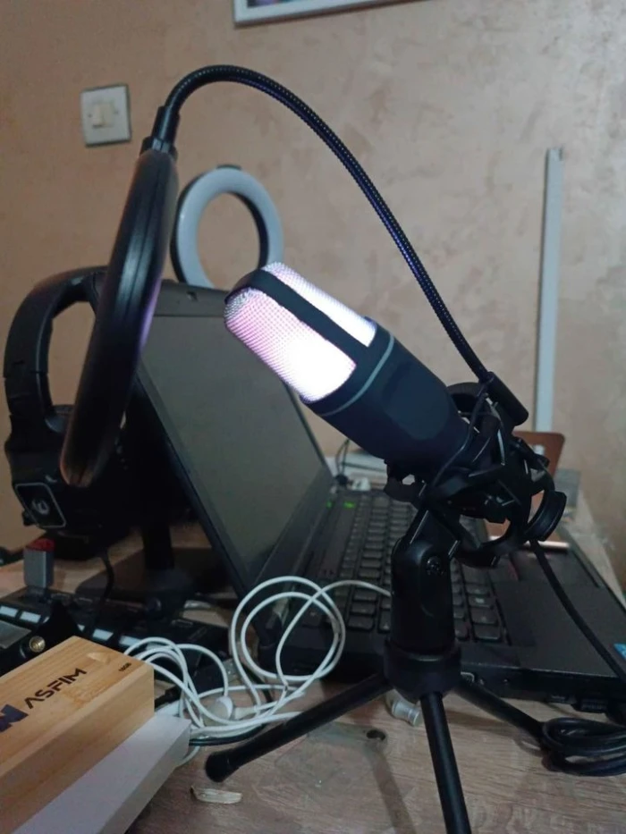 Microphone professionnel Gamer