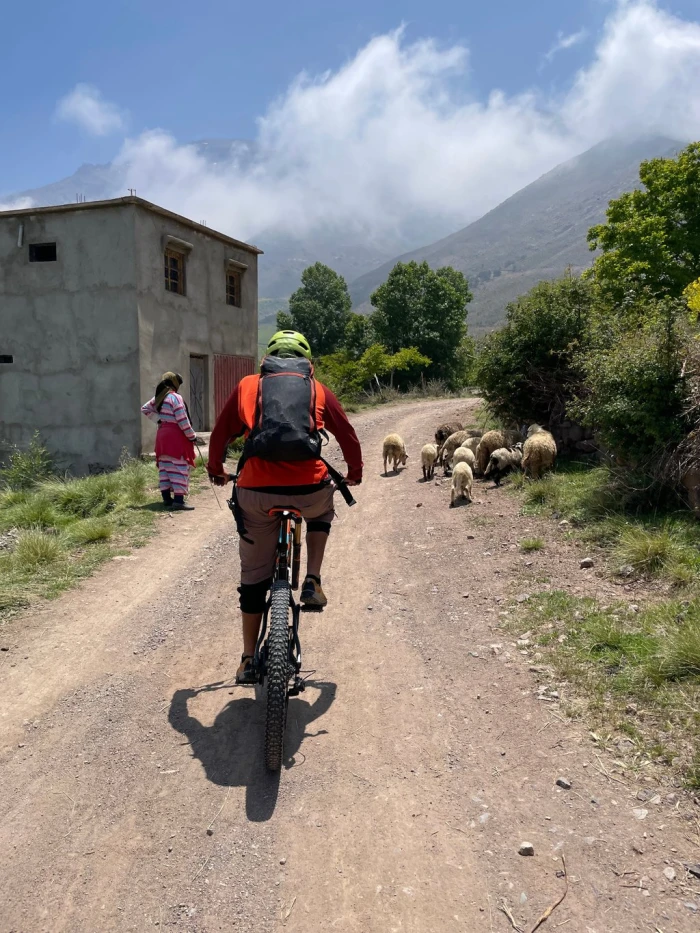 Biking day trip Atlas Mountains - bicycles for rent on RENTS.ma