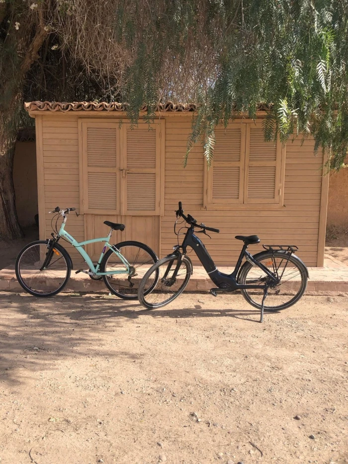 Thami Bike Tours Taroudant – Kasbah Visit & Artisanal Palace Experience - bicycles for rent in taroudant - RENTS.ma