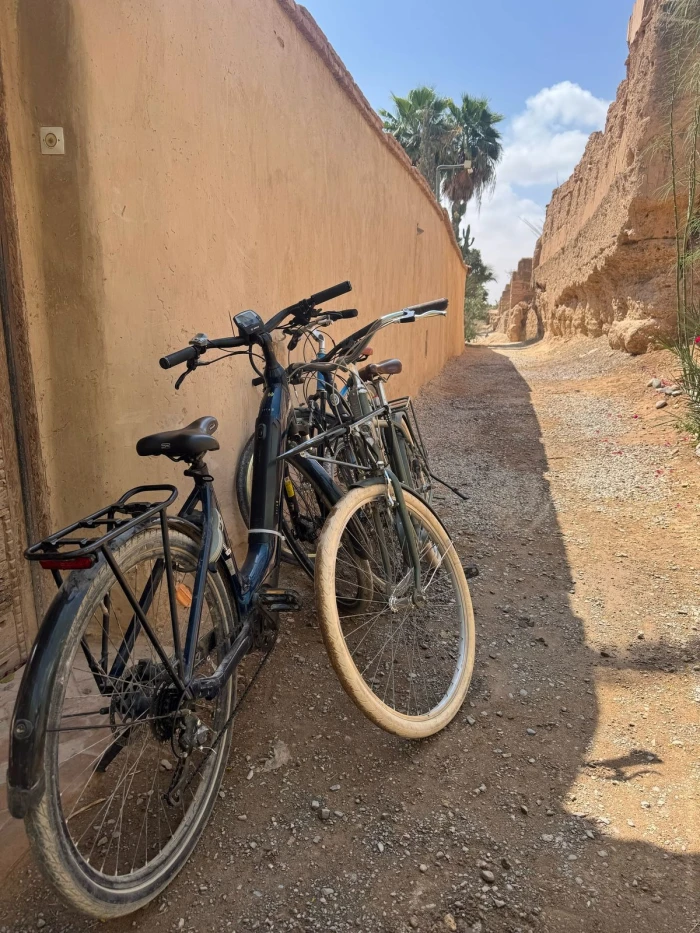 Thami Bike Tours Taroudant – Kasbah Visit & Artisanal Palace Experience - bicycles for rent in taroudant - RENTS.ma