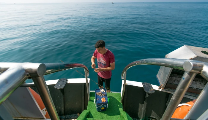 Boat trip in Agadir - boats for rent on RENTS.ma