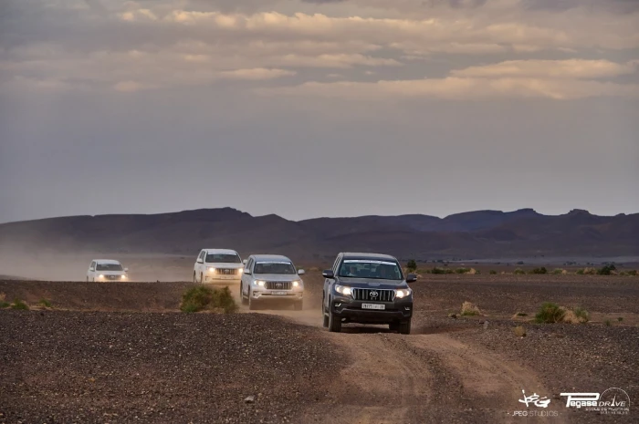 Medloc Car Rental Marrakech - cars for rent in marrakech - RENTS.ma