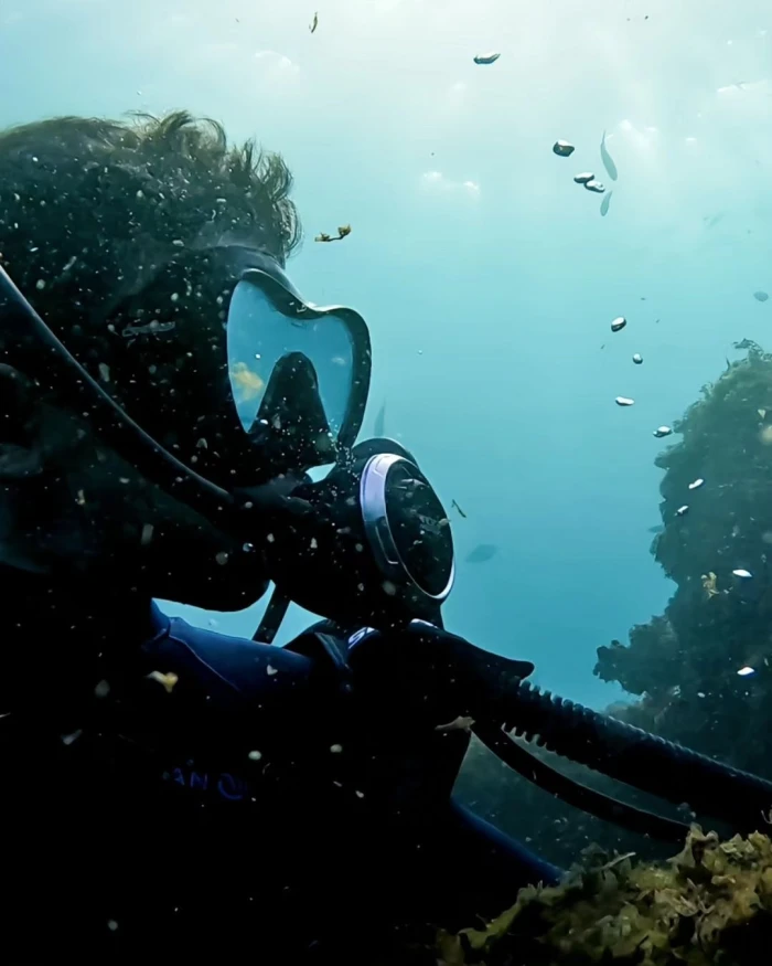 Underwater Exploration & Diving in Tangier - diving for rent in tangier - RENTS.ma
